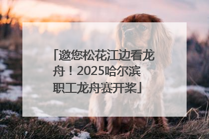邀您松花江边看龙舟！2025哈尔滨职工龙舟赛开桨