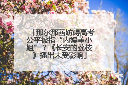 那尔那茜妨碍高考公平被指“内娱董小姐”？《长安的荔枝》播出未受影响