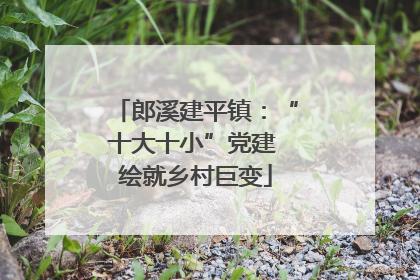 郎溪建平镇：“十大十小”党建 绘就乡村巨变
