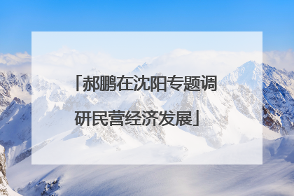郝鹏在沈阳专题调研民营经济发展