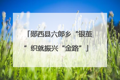 郧西县六郎乡“银茧”织就振兴“金路”