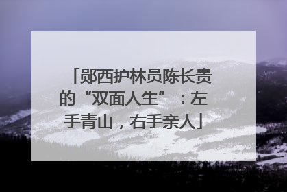 郧西护林员陈长贵的“双面人生”：左手青山，右手亲人