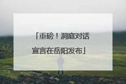 重磅！洞庭对话宣言在岳阳发布