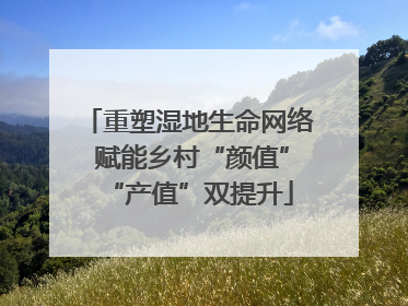 重塑湿地生命网络 赋能乡村“颜值”“产值”双提升