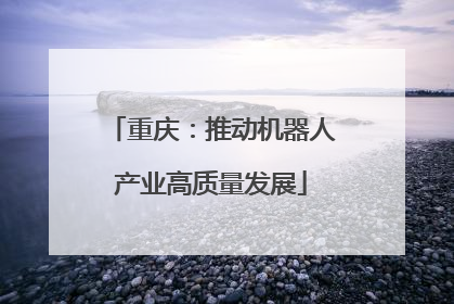 重庆：推动机器人产业高质量发展