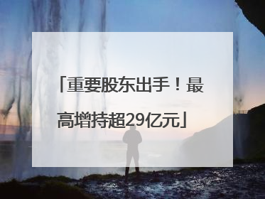 重要股东出手！最高增持超29亿元