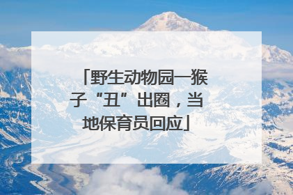 野生动物园一猴子“丑”出圈，当地保育员回应
