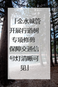 金水城管开展行道树专项修剪 保障交通信号灯清晰可见