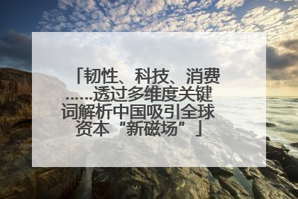 韧性、科技、消费……透过多维度关键词解析中国吸引全球资本“新磁场”
