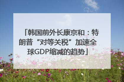 韩国前外长康京和：特朗普“对等关税”加速全球GDP缩减的趋势