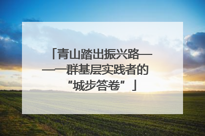 青山踏出振兴路——一群基层实践者的“城步答卷”