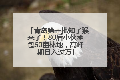 青岛第一批知了猴来了！80后小伙承包60亩林地，高峰期日入过万
