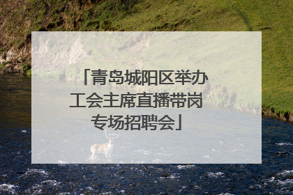 青岛城阳区举办工会主席直播带岗专场招聘会