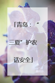 青岛：“三夏”护农话安全