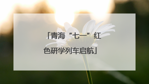 青海“七一”红色研学列车启航
