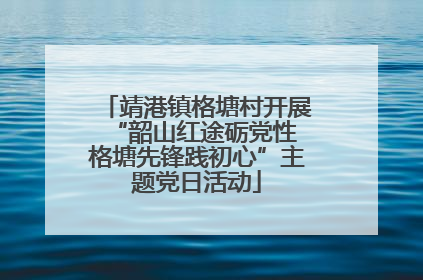 靖港镇格塘村开展“韶山红途砺党性 格塘先锋践初心”主题党日活动
