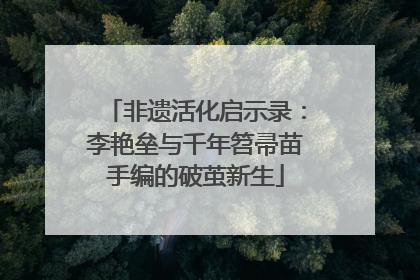 非遗活化启示录：李艳垒与千年笤帚苗手编的破茧新生