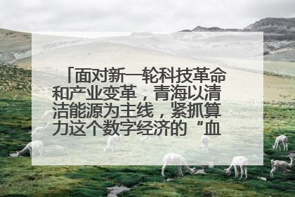 面对新一轮科技革命和产业变革，青海以清洁能源为主线，紧抓算力这个数字经济的“血液”、科技主权的“筹码”、产业升级的“杠杆”、绿色转型的“支点”，勇于撬动国家“双碳”战略、“东数西算”工程重大发展新机遇