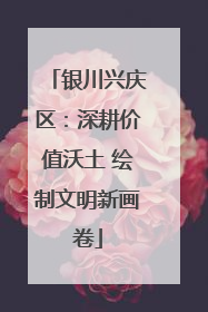 银川兴庆区：深耕价值沃土 绘制文明新画卷