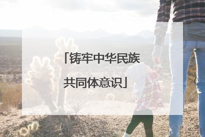 铸牢中华民族共同体意识