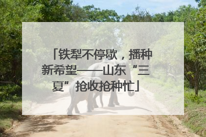 铁犁不停歇，播种新希望——山东“三夏”抢收抢种忙