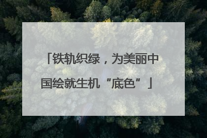 铁轨织绿，为美丽中国绘就生机“底色”