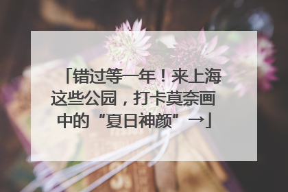 错过等一年！来上海这些公园，打卡莫奈画中的“夏日神颜”→