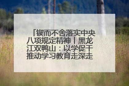 锲而不舍落实中央八项规定精神丨黑龙江双鸭山：以学促干推动学习教育走深走实 从小事入手写好“民生答卷”