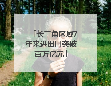 长三角区域7年来进出口突破百万亿元