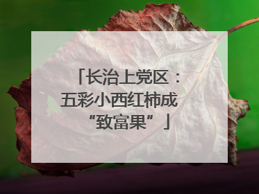 长治上党区：五彩小西红柿成“致富果”