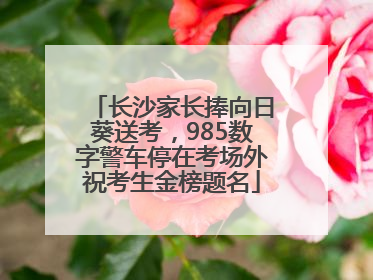 长沙家长捧向日葵送考，985数字警车停在考场外祝考生金榜题名