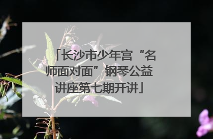 长沙市少年宫“名师面对面”钢琴公益讲座第七期开讲