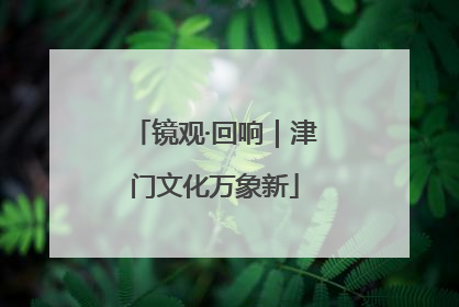 镜观·回响｜津门文化万象新