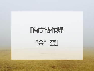 闽宁协作孵“金”蛋