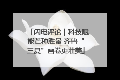 闪电评论｜科技赋能芒种胜景 齐鲁“三夏”画卷更壮美