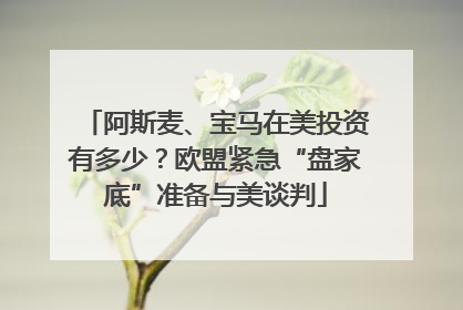 阿斯麦、宝马在美投资有多少？欧盟紧急“盘家底”准备与美谈判