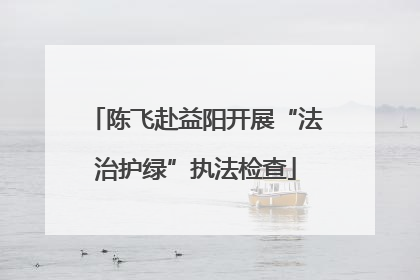 陈飞赴益阳开展“法治护绿”执法检查