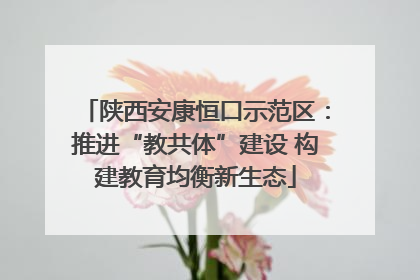 陕西安康恒口示范区：推进“教共体”建设 构建教育均衡新生态
