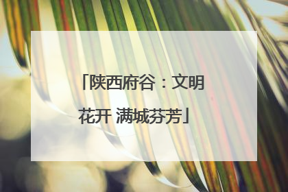 陕西府谷：文明花开 满城芬芳