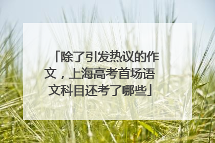 除了引发热议的作文，上海高考首场语文科目还考了哪些