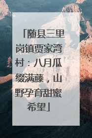 随县三里岗镇贾家湾村：八月瓜缀满藤，山野孕育甜蜜希望