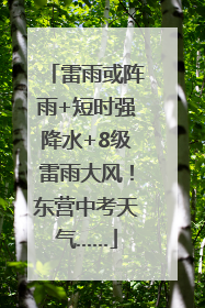 雷雨或阵雨+短时强降水+8级雷雨大风！东营中考天气……