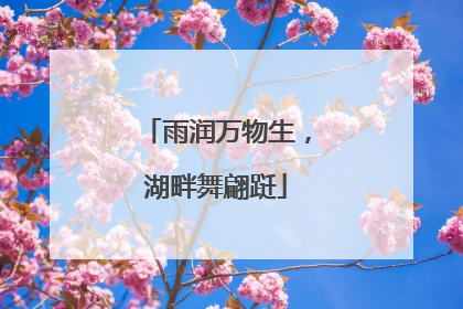 雨润万物生，湖畔舞翩跹