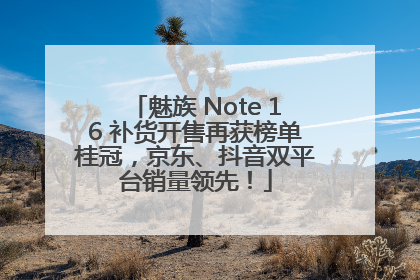 魅族 Note 16 补货开售再获榜单桂冠，京东、抖音双平台销量领先！
