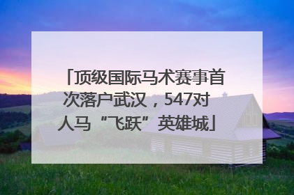 顶级国际马术赛事首次落户武汉，547对人马“飞跃”英雄城