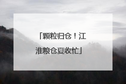 颗粒归仓！江淮粮仓夏收忙