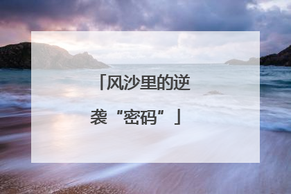 风沙里的逆袭“密码”