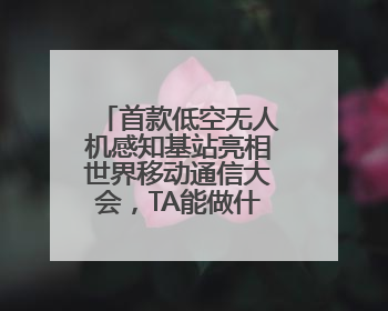 首款低空无人机感知基站亮相世界移动通信大会，TA能做什么？