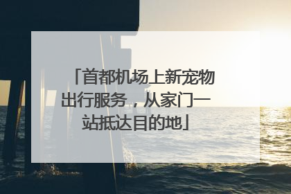 首都机场上新宠物出行服务，从家门一站抵达目的地
