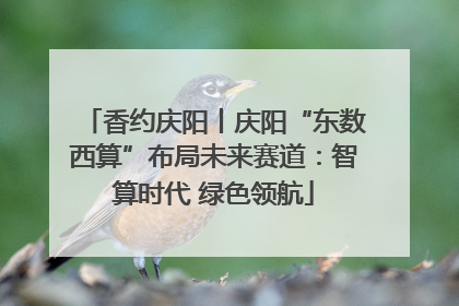 香约庆阳丨庆阳“东数西算”布局未来赛道：智算时代 绿色领航